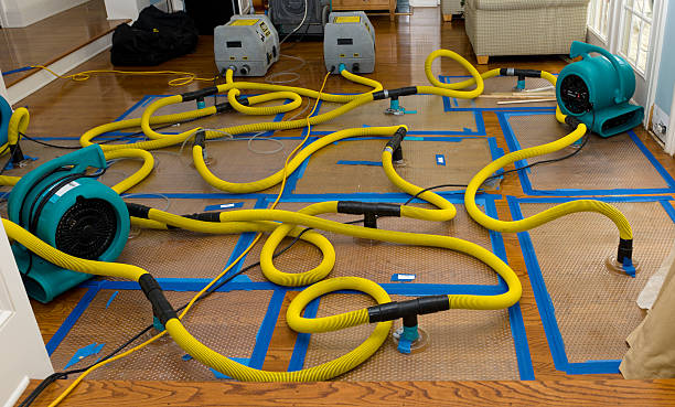 Professional Structural Drying And Dehumidification technician working in Winchendon, MA